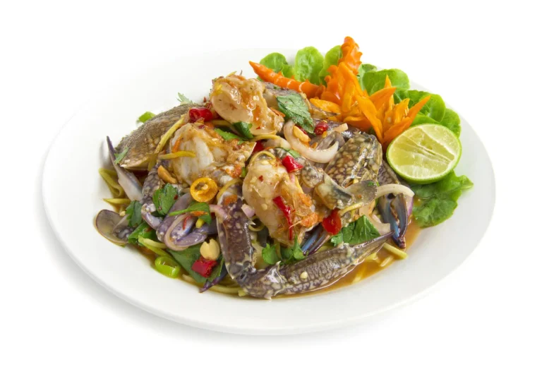 close-up-meal-served-plate (Web H)