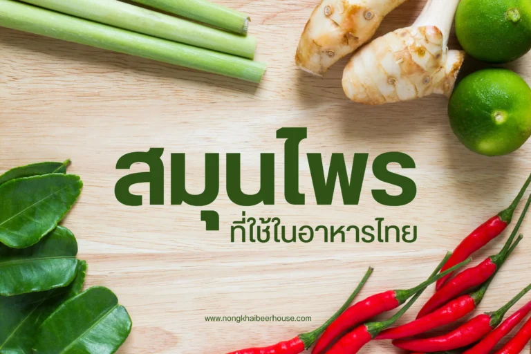 สมุนไพรที่ใช้ในอาหารไทย-cover